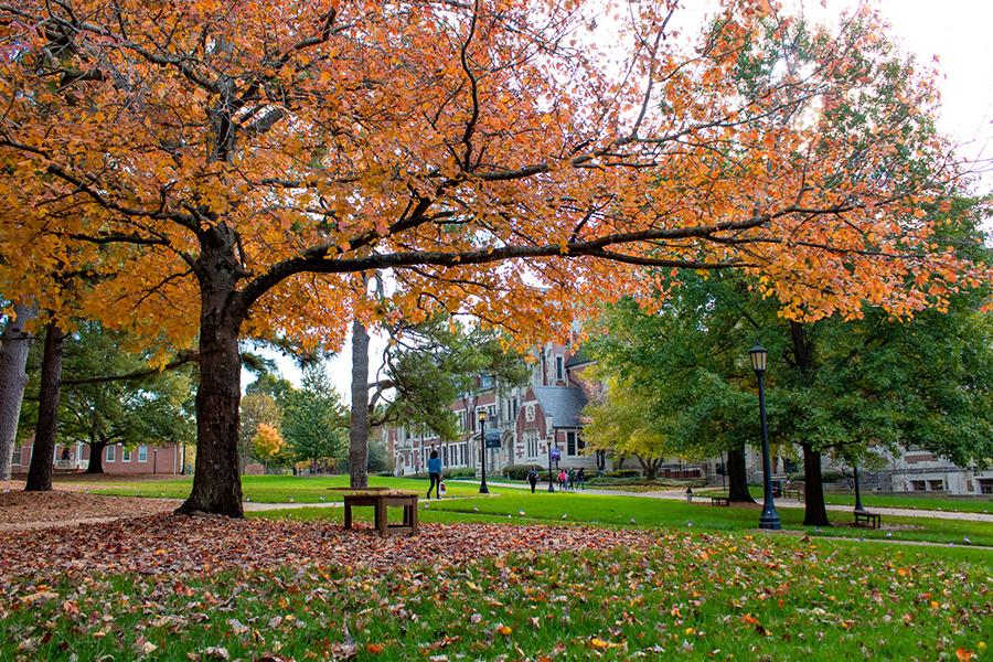 Front quad of campus facing Buttrick Hall in the fall with a fall tree.